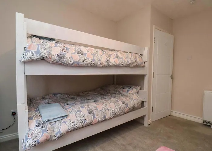 Seashells At Runswick