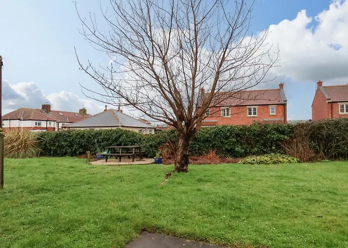 Seashells At Runswick * Saltburn-by-the-Sea